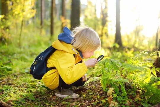 Barn i gul jacka undersöker växter med förstoringsglas i skogen